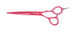 Перукарські ножиці для стрижки волосся прямі Sway Art Passion 6 розмір 110 30160 фото 3