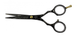 Прямі ножиці перукарські для стрижки волосся полуергономічні медична сталь SPL 5.5 розмір 95355-55 фото 2