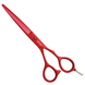 Перукарські ножиці для стрижки волосся прямі Sway Art Passion 6 розмір 110 30160 фото 1