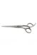 Професійні ножиці для стрижки волосся з медичної сталі прямі SPL 6.0 розмір 90025-60 фото 1