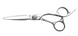 Перукарські прямі ножиці для стрижки волосся професійні Sway Infinite 5.75 розмір 110 101575 фото 3
