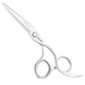 Парикмахерские прямые ножницы для стрижки волос профессиональные Sway Infinite 5.5 размер 110 10555 фото 1