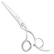 Перукарські прямі ножиці для стрижки волосся професійні Sway Infinite 6.0 розмір 110 10560 фото 1