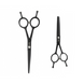 Набір ножиць для правші для стрижки волосся прямі та філірувальні класичні з медичної сталі SPL 5.5 розмір (90030-1) фото 1