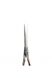 Прямі ножиці для стрижки волосся перукарські класичні SPL 5.5 розмір 90010-55 фото 2