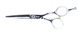 Перукарські прямі ножиці для стрижки волосся професійні Sway Elite 5.0 розмір 110 20550 фото 3