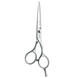Перукарські прямі ножиці для стрижки волосся професійні Sway Elite 5.0 розмір 110 20550 фото 2