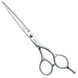 Перукарські прямі ножиці для стрижки волосся професійні Sway Elite Day 6.0 розмір 110 20560 фото 1