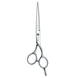 Перукарські прямі ножиці для стрижки волосся професійні Sway Elite Day 6.0 розмір 110 20560 фото 2