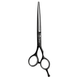 Перукарські прямі ножиці для стрижки волосся професійні Sway Elite NIght 6.0 розмір 110 20460 фото 2