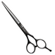 Перукарські прямі ножиці для стрижки волосся професійні Sway Elite NIght 6.0 розмір 110 20460 фото 1