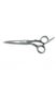 Перукарські прямі ножиці для стрижки волосся професійні 6.0 розмір SPL 90061-60 фото 1