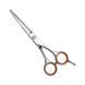 Перукарські прямі ножиці для стрижки волосся професійні Sway Grand 5.5 розмір 110 40255 фото 1