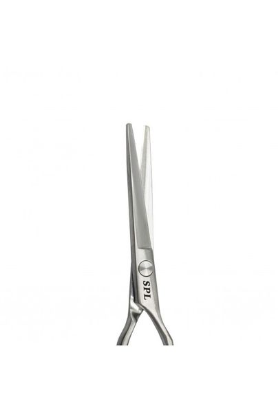 Професійні перукарські ножиці для стрижки волосся з медичноЇ сталі 5.5 розмір SPL 90024-55 фото
