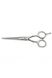Професійні перукарські ножиці для стрижки волосся з медичноЇ сталі 5.5 розмір SPL 90024-55 фото 1