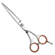 Перукарські прямі ножиці для стрижки волосся професійні Sway Grand 6.0 розмір 110 40260 фото 1