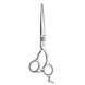 Перукарські прямі ножиці для стрижки волосся професійні Sway Infinite 6.0 розмір 110 10360 фото 2
